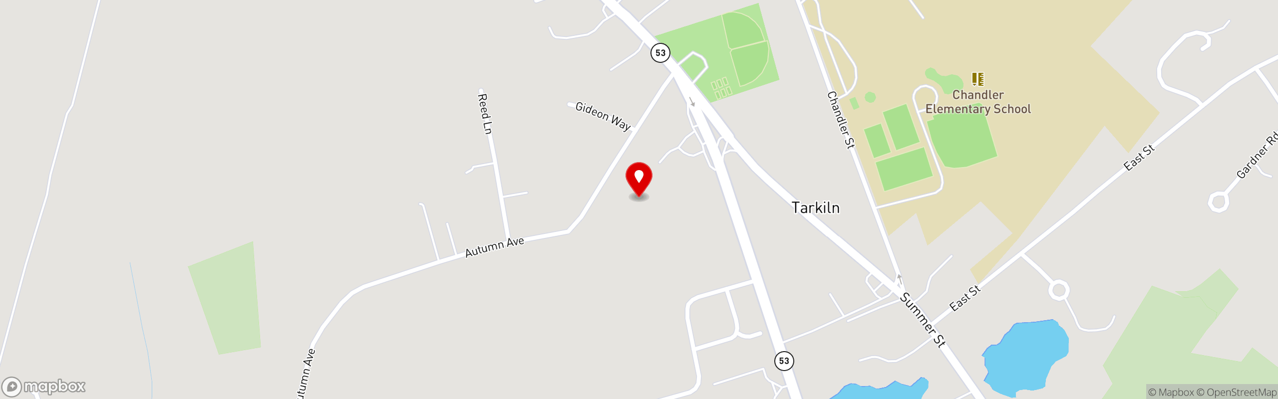 Street map pinning Bongi's Turkey Roost in Duxbury