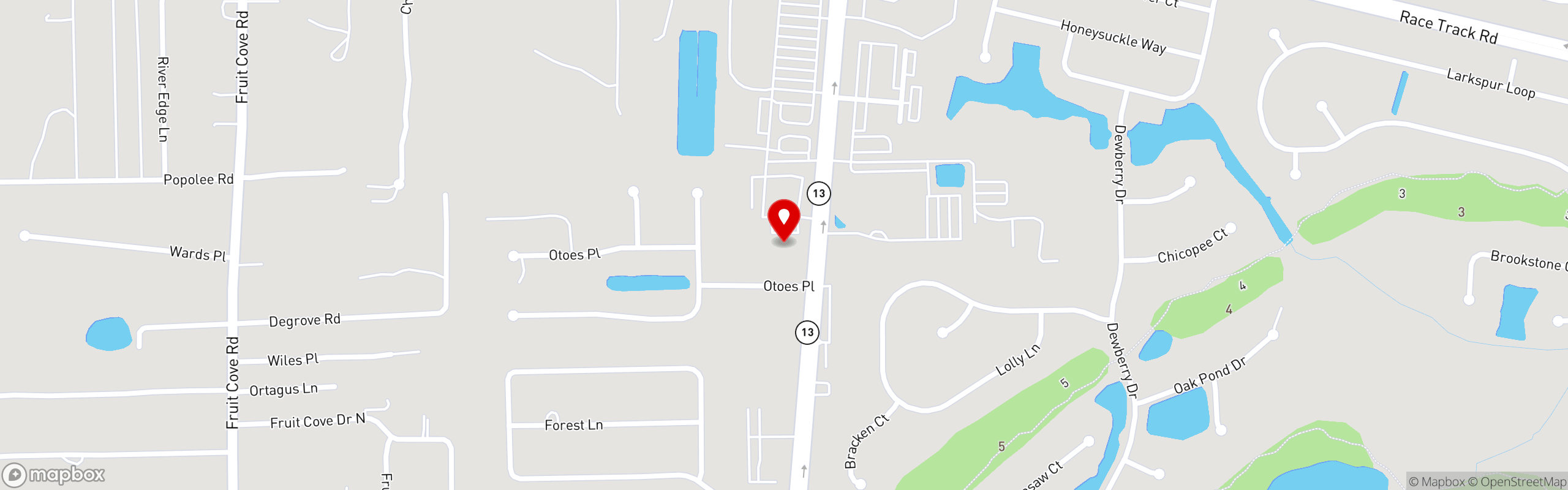 Street map pinning Bella Vista in Bella Vista - Fruit Cove